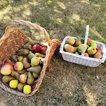 Au Petit Paradis 3*