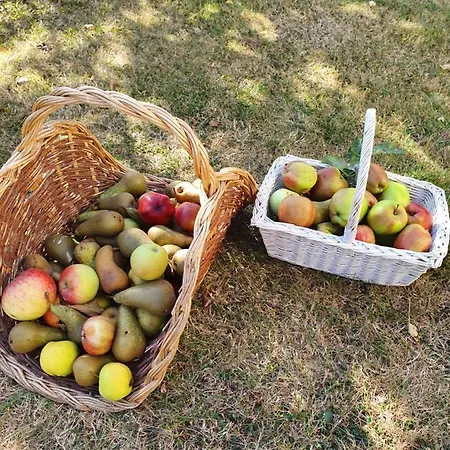 Au Petit Paradis 3*