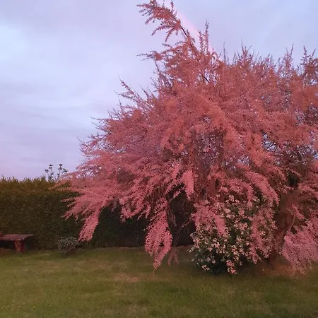 Au Petit Paradis