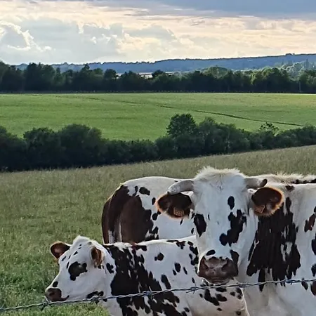 Au Petit Paradis Panzió Sainte-Gauburge-Sainte-Colombe