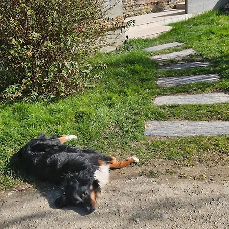 Panzió Au Petit Paradis Sainte-Gauburge-Sainte-Colombe
