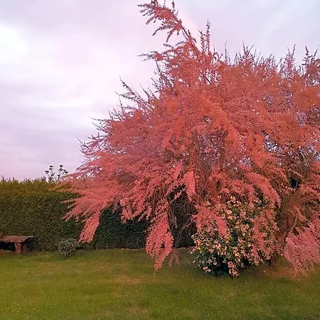 Au Petit Paradis