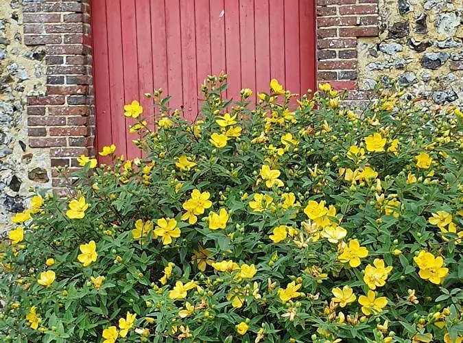 Au Petit Paradis 3* Sainte-Gauburge-Sainte-Colombe