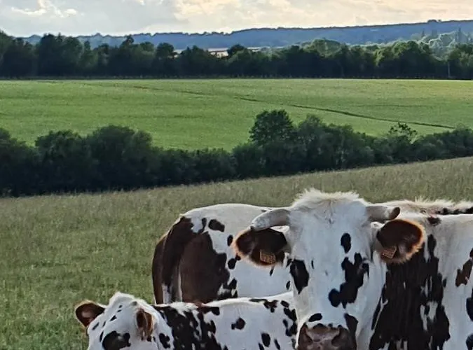 Au Petit Paradis Bed & Breakfast Sainte-Gauburge-Sainte-Colombe